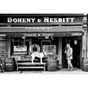 Doheny & Nesbitt's Pub-Dublin Doheny & Nesbitt's Pub-Dublin